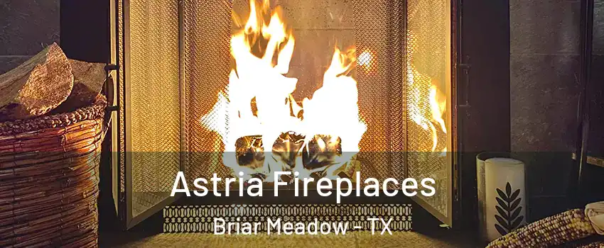 Astria Fireplaces Briar Meadow - TX