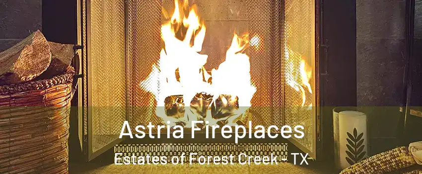 Astria Fireplaces Estates of Forest Creek - TX