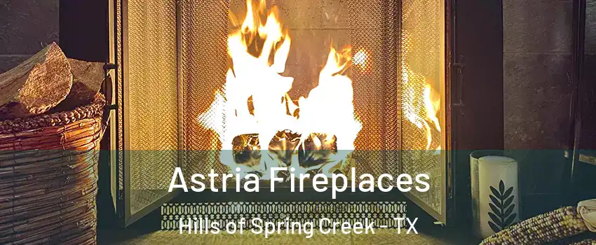 Astria Fireplaces Hills of Spring Creek - TX