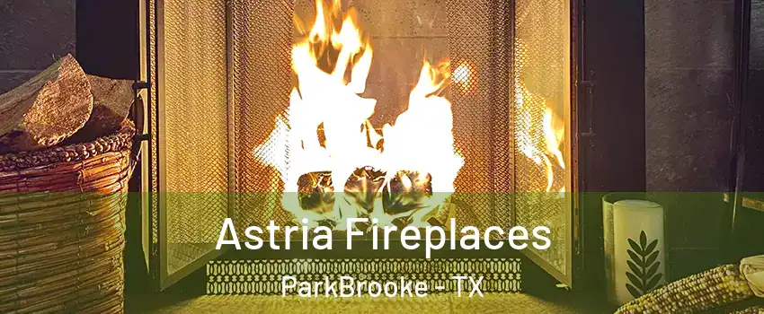 Astria Fireplaces ParkBrooke - TX