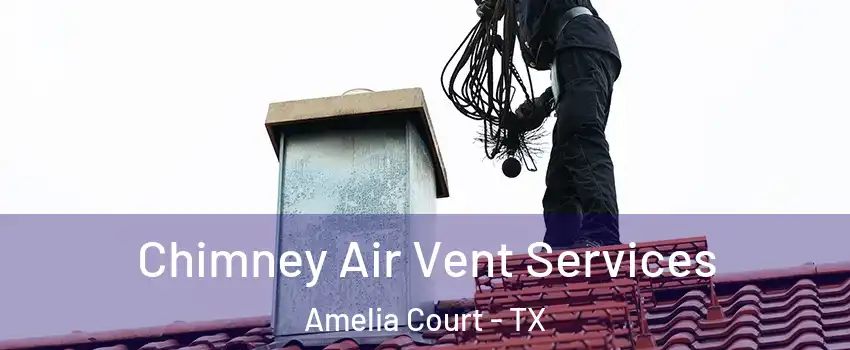 Chimney Air Vent Services Amelia Court - TX