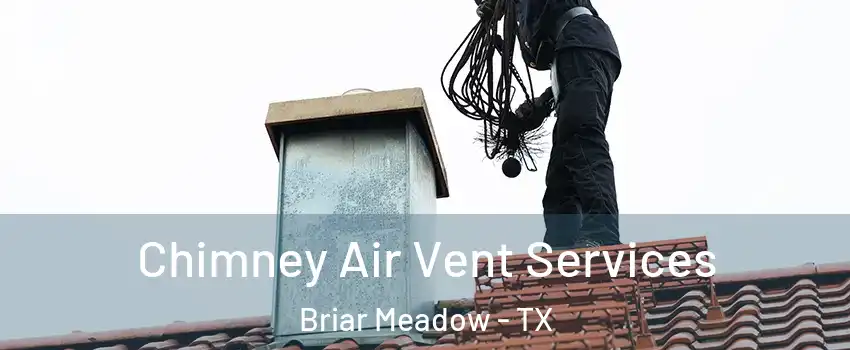 Chimney Air Vent Services Briar Meadow - TX