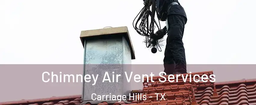 Chimney Air Vent Services Carriage Hills - TX