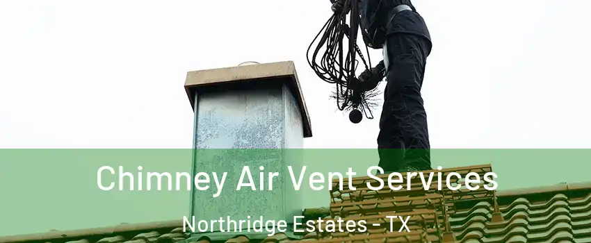 Chimney Air Vent Services Northridge Estates - TX