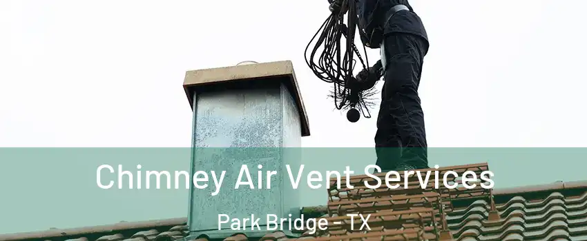 Chimney Air Vent Services Park Bridge - TX