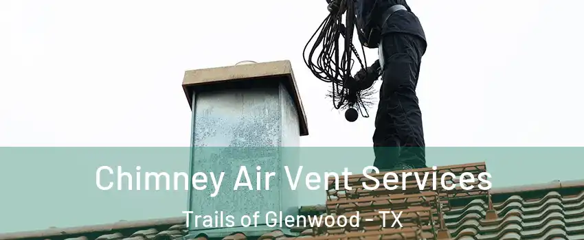 Chimney Air Vent Services Trails of Glenwood - TX