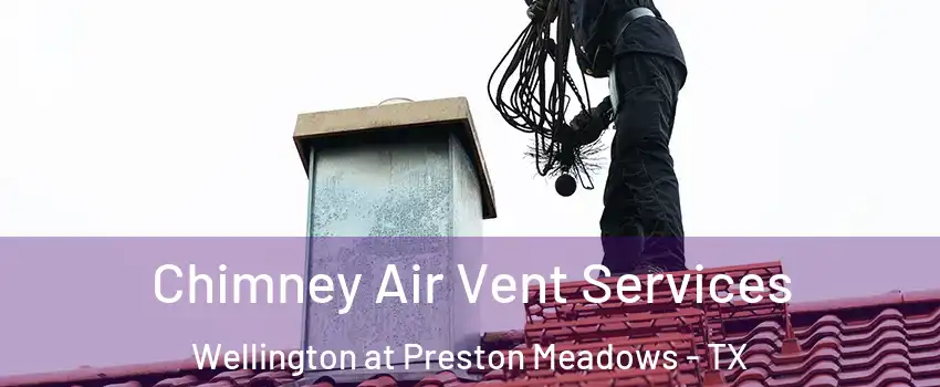 Chimney Air Vent Services Wellington at Preston Meadows - TX