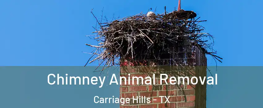 Chimney Animal Removal Carriage Hills - TX