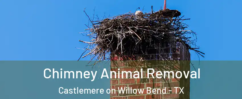 Chimney Animal Removal Castlemere on Willow Bend - TX