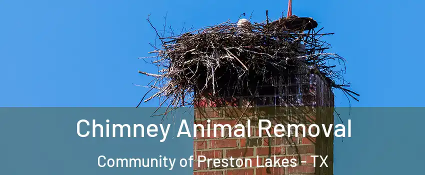 Chimney Animal Removal Community of Preston Lakes - TX