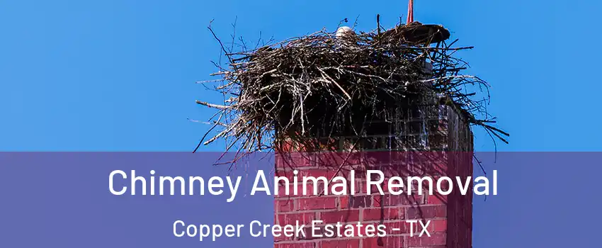 Chimney Animal Removal Copper Creek Estates - TX