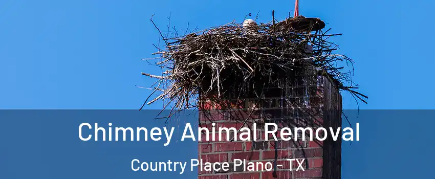 Chimney Animal Removal Country Place Plano - TX