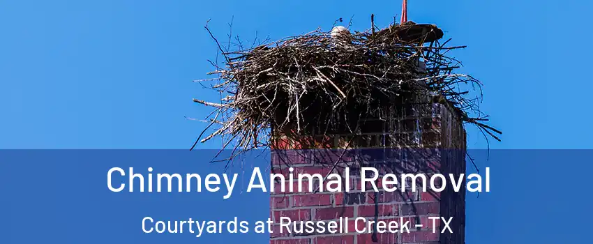 Chimney Animal Removal Courtyards at Russell Creek - TX