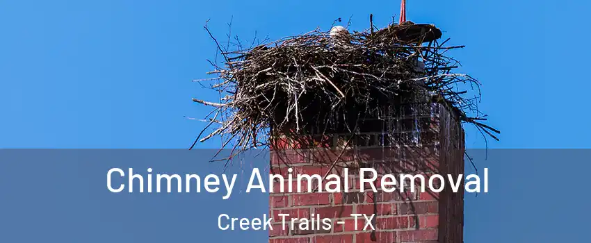 Chimney Animal Removal Creek Trails - TX