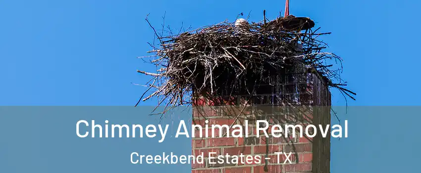 Chimney Animal Removal Creekbend Estates - TX