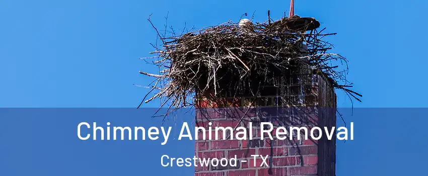 Chimney Animal Removal Crestwood - TX