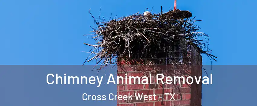 Chimney Animal Removal Cross Creek West - TX