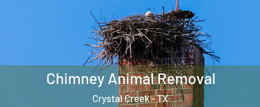 Chimney Animal Removal Crystal Creek - TX