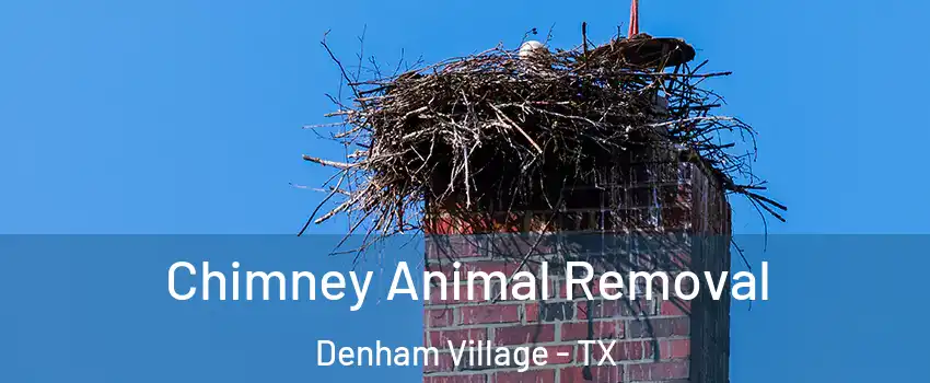 Chimney Animal Removal Denham Village - TX