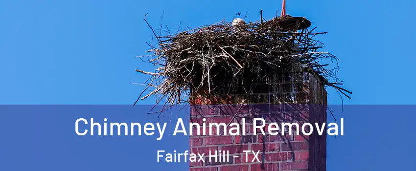 Chimney Animal Removal Fairfax Hill - TX