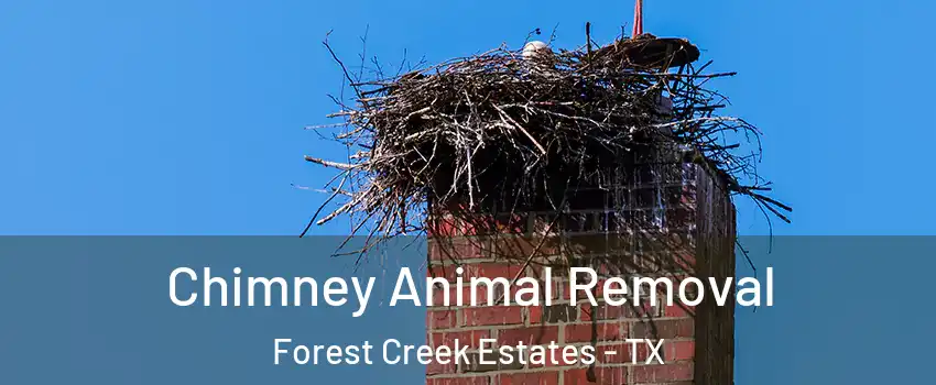 Chimney Animal Removal Forest Creek Estates - TX