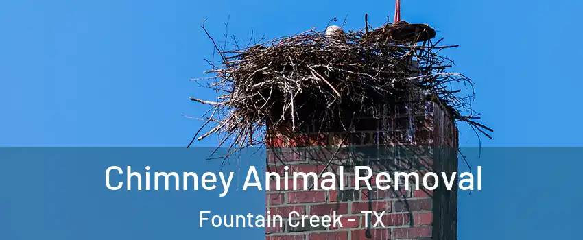 Chimney Animal Removal Fountain Creek - TX