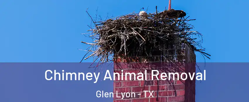 Chimney Animal Removal Glen Lyon - TX