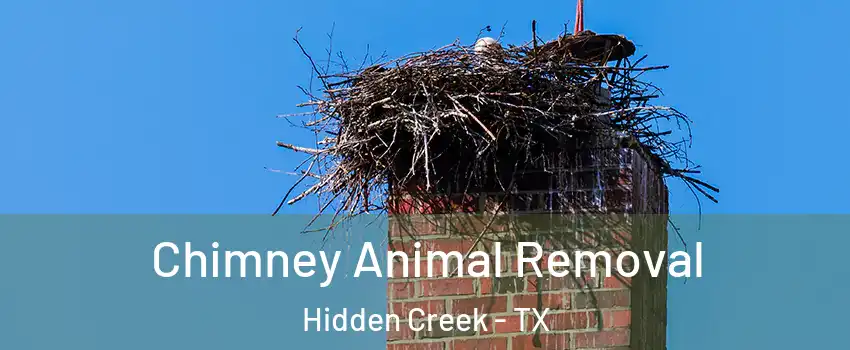 Chimney Animal Removal Hidden Creek - TX