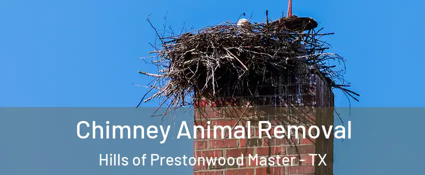 Chimney Animal Removal Hills of Prestonwood Master - TX