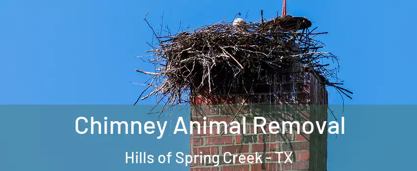 Chimney Animal Removal Hills of Spring Creek - TX