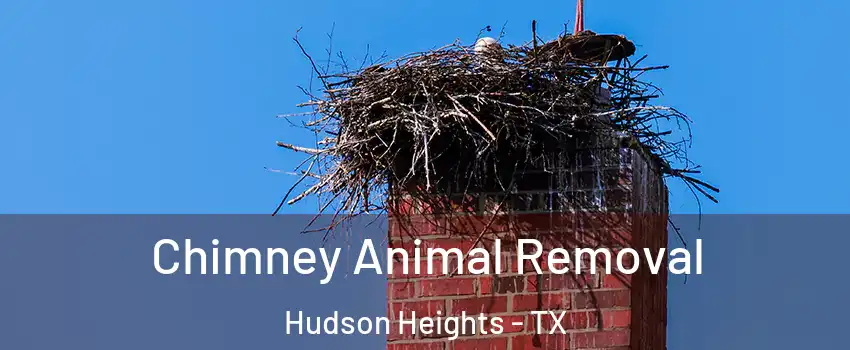 Chimney Animal Removal Hudson Heights - TX