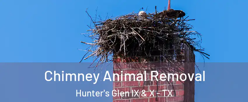 Chimney Animal Removal Hunter's Glen IX & X - TX