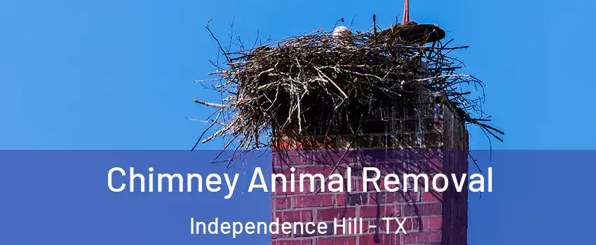 Chimney Animal Removal Independence Hill - TX