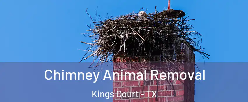 Chimney Animal Removal Kings Court - TX