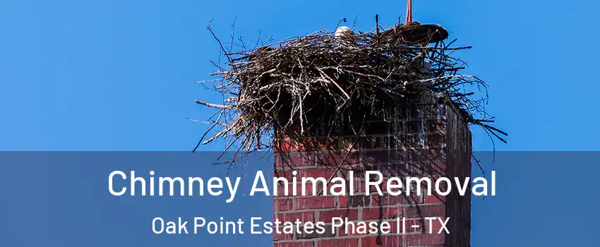 Chimney Animal Removal Oak Point Estates Phase II - TX