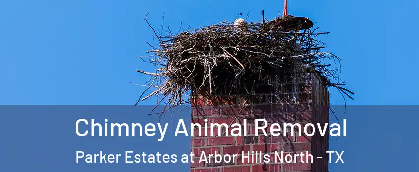 Chimney Animal Removal Parker Estates at Arbor Hills North - TX