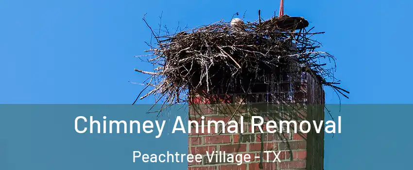 Chimney Animal Removal Peachtree Village - TX