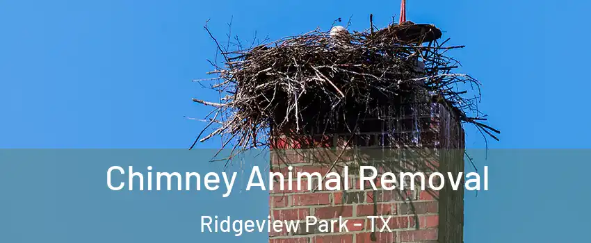 Chimney Animal Removal Ridgeview Park - TX