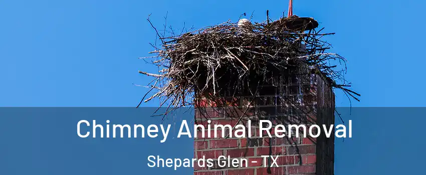 Chimney Animal Removal Shepards Glen - TX