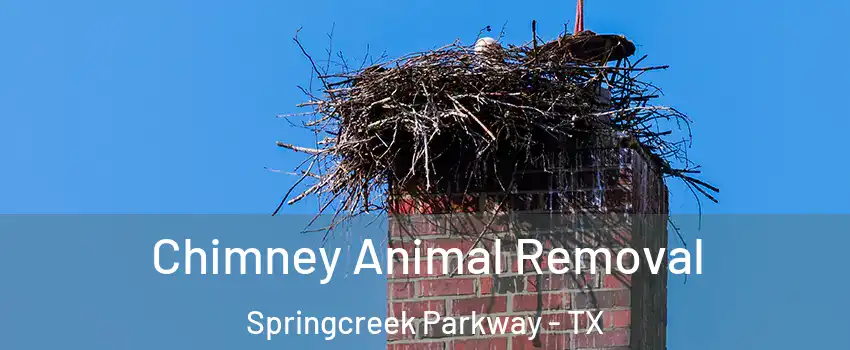 Chimney Animal Removal Springcreek Parkway - TX