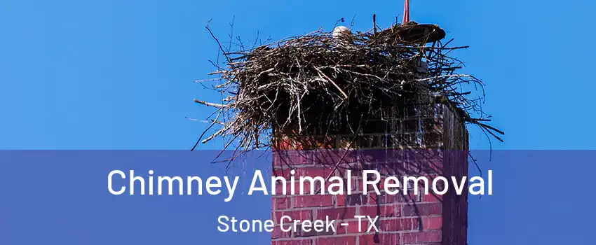 Chimney Animal Removal Stone Creek - TX