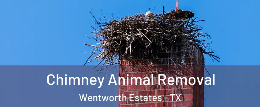 Chimney Animal Removal Wentworth Estates - TX