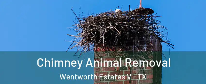 Chimney Animal Removal Wentworth Estates V - TX