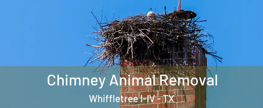 Chimney Animal Removal Whiffletree I-IV - TX