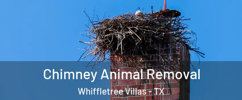 Chimney Animal Removal Whiffletree Villas - TX