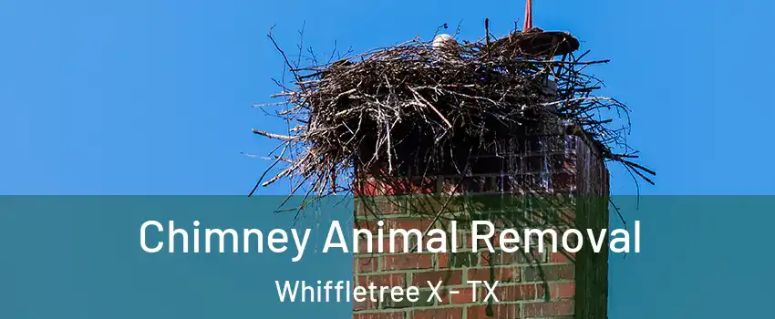 Chimney Animal Removal Whiffletree X - TX