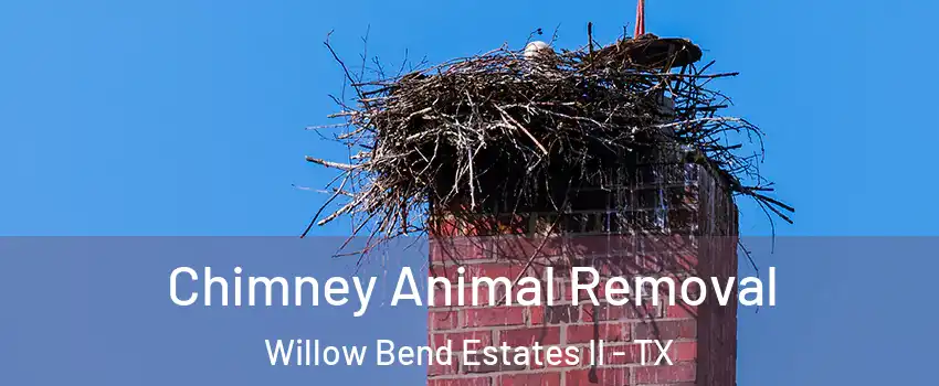 Chimney Animal Removal Willow Bend Estates II - TX