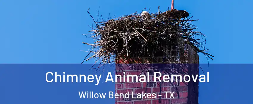 Chimney Animal Removal Willow Bend Lakes - TX