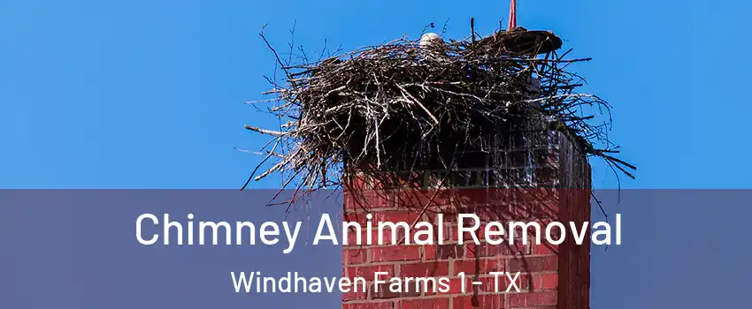 Chimney Animal Removal Windhaven Farms 1 - TX