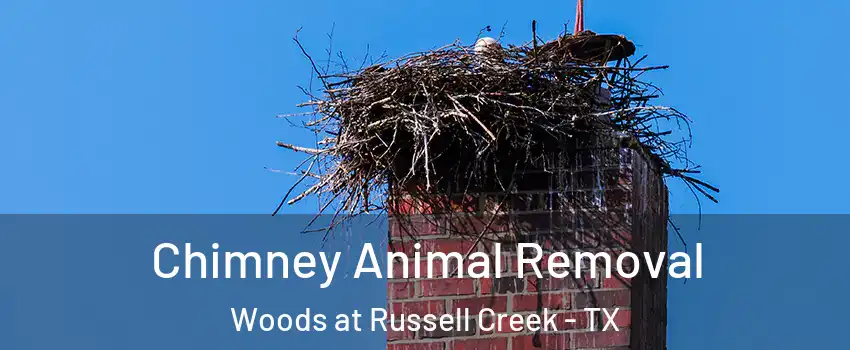 Chimney Animal Removal Woods at Russell Creek - TX